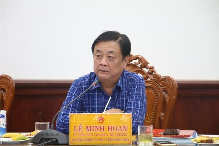 ‘Giao thương nông sản Việt - Trung cần nhìn rộng hơn, không chỉ là lỗ - lãi’