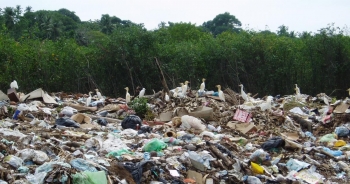 Sri Lanka cấm nhựa dùng một lần để bảo vệ voi