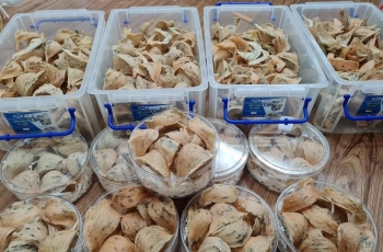 Kiên Giang, Khánh Hòa, Lâm Đồng có số lượng nhà yến tăng nhanh nhất cả nước