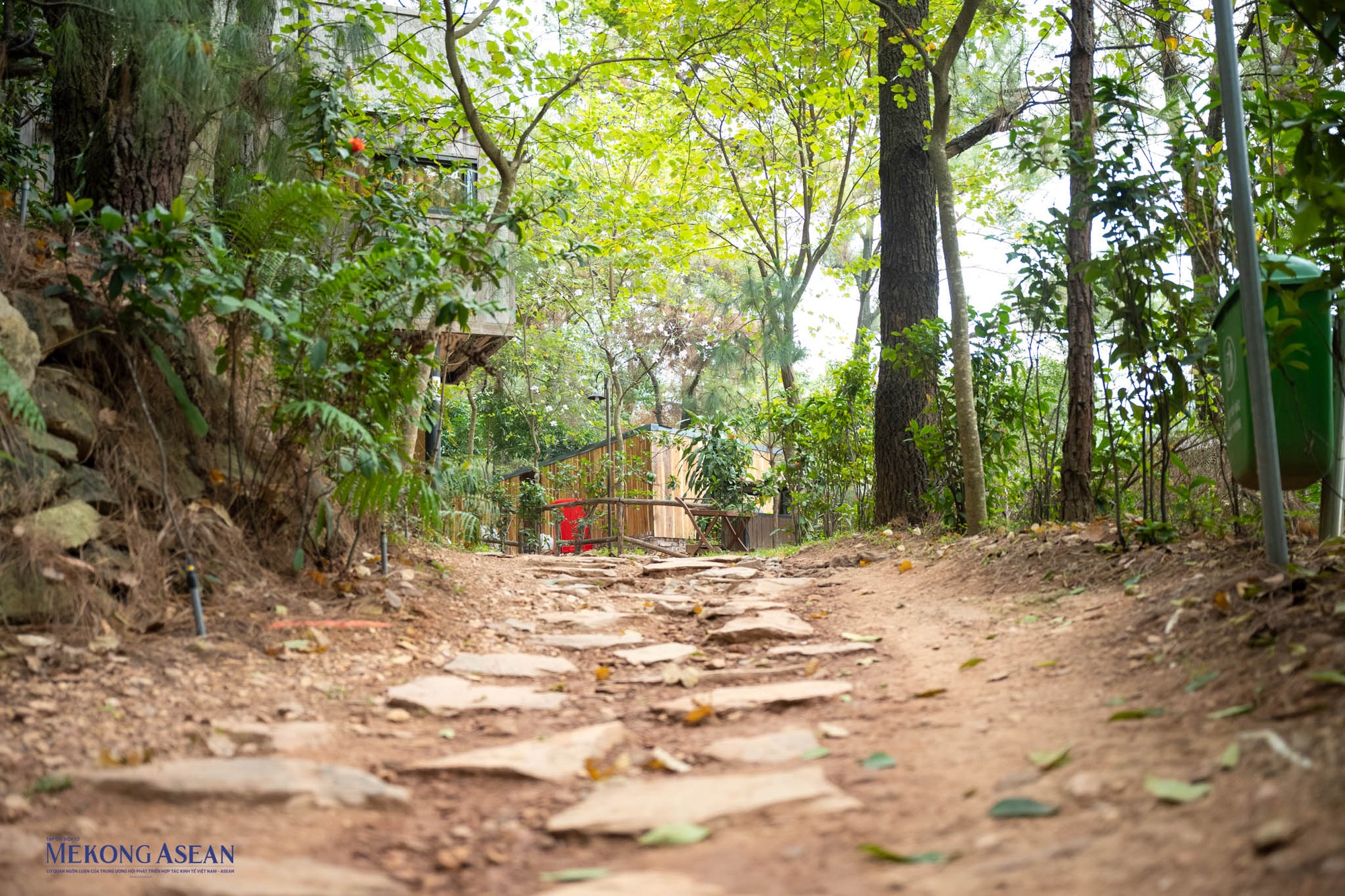 T&aacute;ch biệt với cuộc sống ồn &agrave;o b&ecirc;n ngo&agrave;i, đến U Lesa bạn sẽ được ho&agrave; m&igrave;nh v&agrave;o kh&ocirc;ng kh&iacute; rừng xanh trong l&agrave;nh của thi&ecirc;n nhi&ecirc;n với những ng&ocirc;i nh&agrave; c&oacute; kiến tr&uacute;c đa dạng.