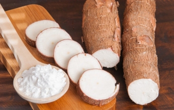 Sắn là mặt hàng xuất khẩu lớn thứ 4 trong nhóm nông sản nửa đầu tháng 2