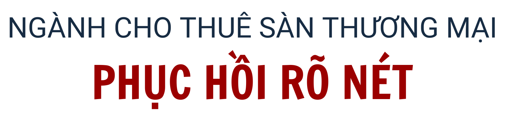 Triển vọng từ bất động sản và ô tô điện của Vingroup