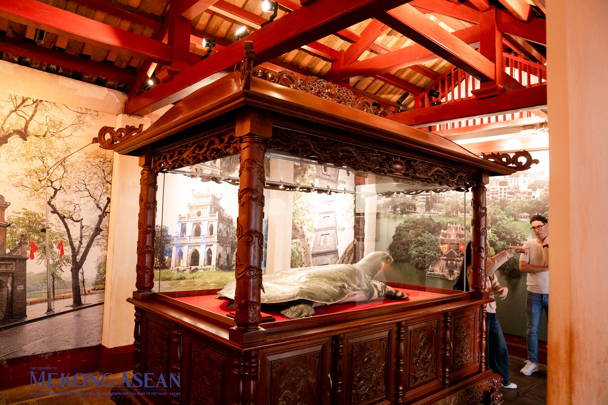 Ti&ecirc;u bản thứ hai được đặt b&ecirc;n gian tr&aacute;i l&agrave; cụ r&ugrave;a hồ Gươm chết năm 2016 d&agrave;i 2,08 m, ngang 1,08 m, nặng 169 kg. Ti&ecirc;u bản n&agrave;y được hai chuy&ecirc;n gia người Đức đến Việt Nam tham gia thực hiện bằng phương ph&aacute;p nhựa h&oacute;a, c&oacute; khả năng bảo quản nguy&ecirc;n trạng mẫu vật cả về h&igrave;nh th&aacute;i, m&agrave;u sắc đến những phần kh&oacute; như mắt, diềm mai. Phương ph&aacute;p n&agrave;y cũng gi&uacute;p giữ được nguy&ecirc;n vẹn mẫu vật (cả phần xương, sụn) s&aacute;t thực nhất với mẫu sống, kh&ocirc;ng để lại m&ugrave;i v&agrave; c&oacute; độ bền cao.