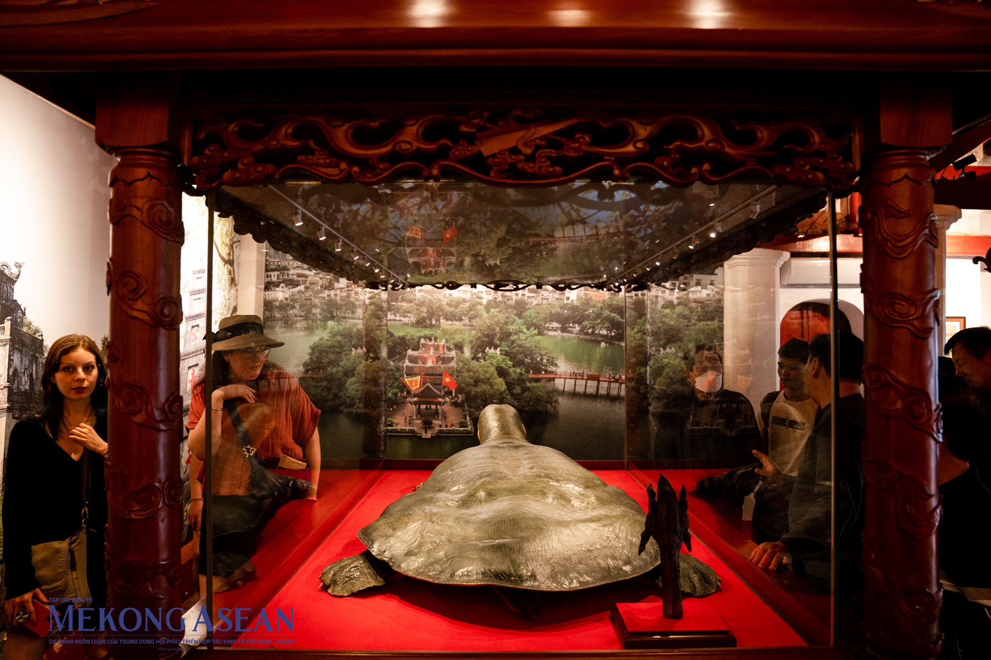 R&ugrave;a hồ Gươm l&agrave; c&aacute; thể c&aacute;i, c&oacute; t&ecirc;n khoa học Rafetus Swinhoei, l&agrave; một lo&agrave;i r&ugrave;a nước ngọt mai mềm khổng lồ cực hiếm. Sau khi r&ugrave;a thứ hai tại Hồ Gươm chết v&agrave;o năm 2016, hiện tr&ecirc;n thế giới chỉ ghi nhận 3 c&aacute; thể c&ugrave;ng lo&agrave;i n&agrave;y c&ograve;n sống (một ở hồ Đồng M&ocirc; - H&agrave; Nội v&agrave; 2 ở Trung Quốc).