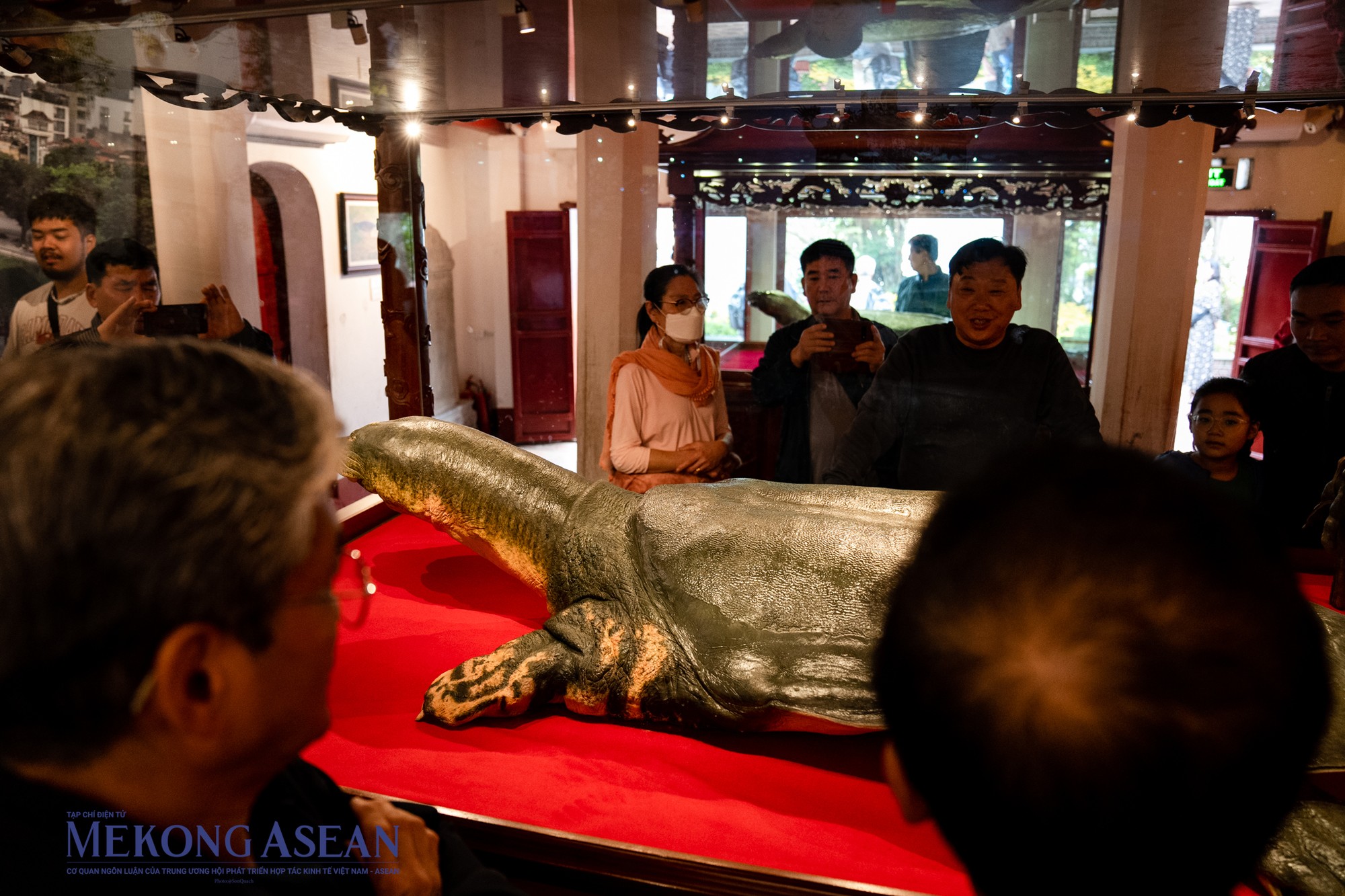 Ti&ecirc;u bản r&ugrave;a Hồ Gươm thu h&uacute;t đ&ocirc;ng đảo thực kh&aacute;ch trong v&agrave; ngo&agrave;i nước đến tham quan, chi&ecirc;m ngưỡng h&agrave;ng ng&agrave;y. Khu vực nh&agrave; trưng b&agrave;y v&agrave; đền Ngọc Sơn l&agrave; một trong những điểm kh&ocirc;ng thể bỏ lỡ khi du kh&aacute;ch đến H&agrave; Nội.