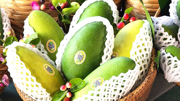 Xo&agrave;i hạt l&eacute;p trưng b&agrave;y tại sự kiện. Ảnh: B&aacute;o An Giang.