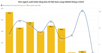Thương mại Việt Nam - ASEAN tăng 35% trong tháng đầu năm 2024