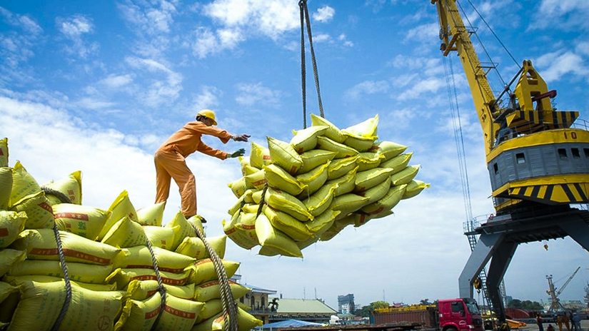 Gạo Việt Nam xuất sang ASEAN tăng 46% trong th&aacute;ng đầu năm 2024