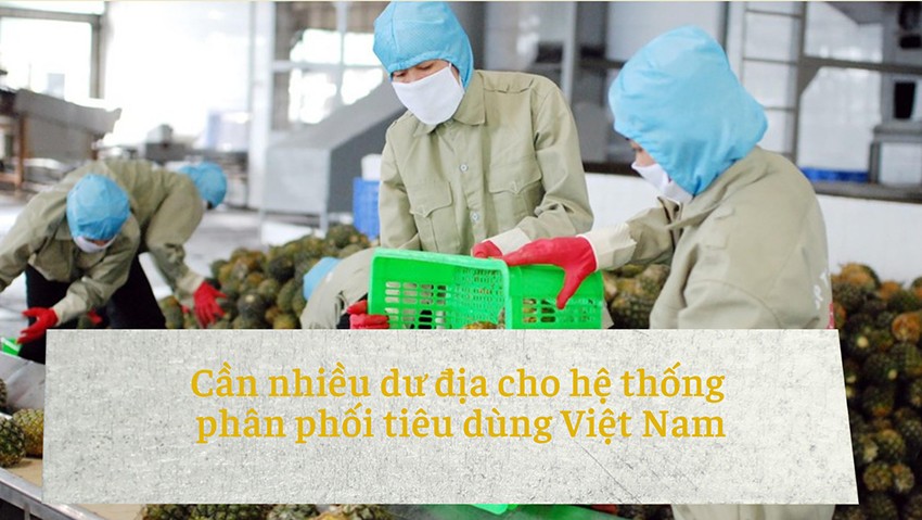 Những trụ cột của nền kinh tế Việt Nam trong năm 2022
