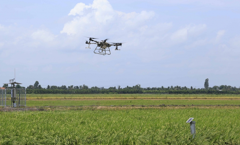 M&ocirc; h&igrave;nh c&aacute;nh đồng l&uacute;a ứng dụng c&ocirc;ng nghệ 4.0 của C&ocirc;ng ty TNHH L&uacute;a Gạo Việt Nam (Vinarice). Ảnh: Vinaseed