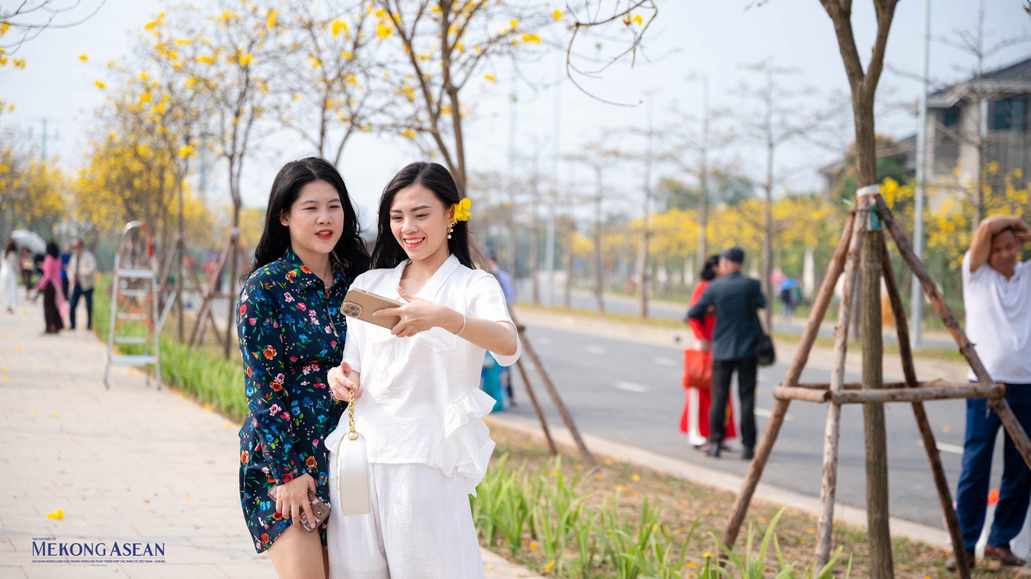 H&agrave; Nội: Đường hoa phong linh v&agrave;ng rực ở H&agrave; Đ&ocirc;ng thu h&uacute;t người d&acirc;n chụp ảnh