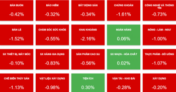 Thị trường ảm đạm, một mã chứng khoán ngược dòng tăng trần 10%