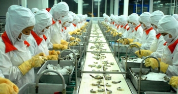 Chỉ số sản xuất công nghiệp của Cà Mau tăng 5,3% trong tháng 2