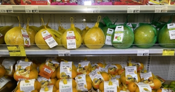 Cam Cao Phong Hòa Bình lần đầu có mặt tại thị trường Anh