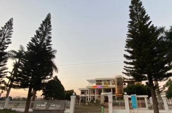 CFV tăng gấp 7 lần sau 3 tuần, Cà phê Thắng Lợi giải thích do thị trường