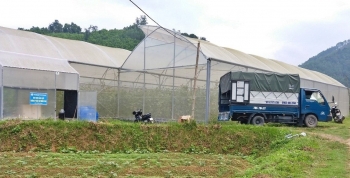 HTX được dùng tài sản kết cấu hạ tầng để thế chấp vay vốn