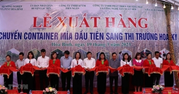 Hòa Bình xuất khẩu lô hàng mía tươi đầu tiên sang Mỹ