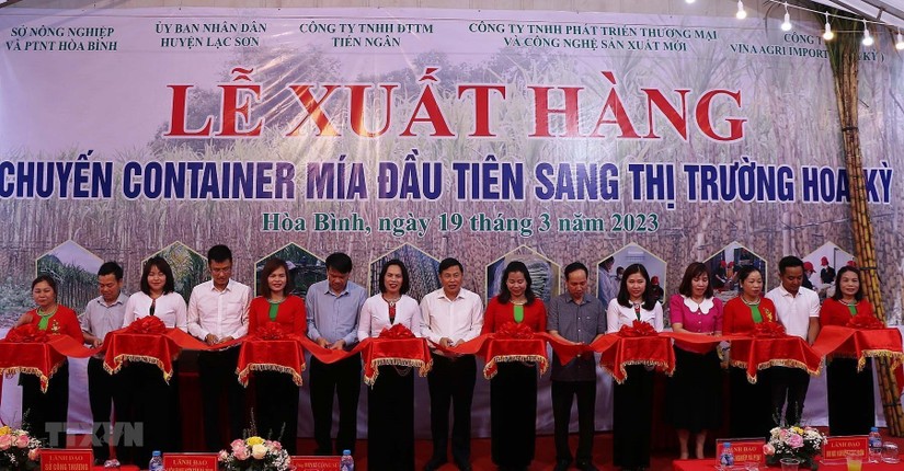 Cắt băng xuất khẩu l&ocirc; h&agrave;ng m&iacute;a tươi đầu ti&ecirc;n sang Mỹ. Ảnh: TTXVN