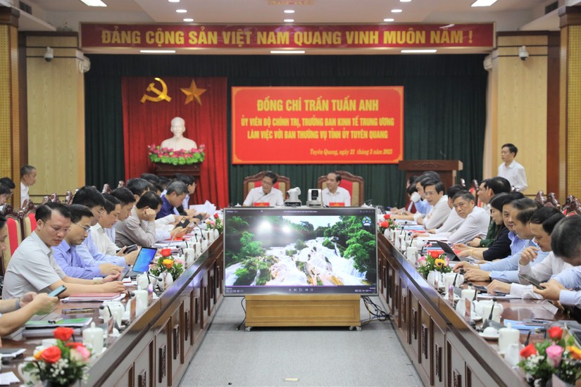 Ban Kinh tế Trung ương l&agrave;m việc với Ban Thường vụ Tỉnh ủy Tuy&ecirc;n Quang sơ kết 5 năm thực hiện Chỉ thị số 13-CT/TW ng&agrave;y 12/02/2017 của Ban B&iacute; thư. Ảnh: Th&agrave;nh Trung