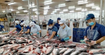 Vĩnh Hoàn chốt ngày diễn ra ĐHĐCĐ 2023