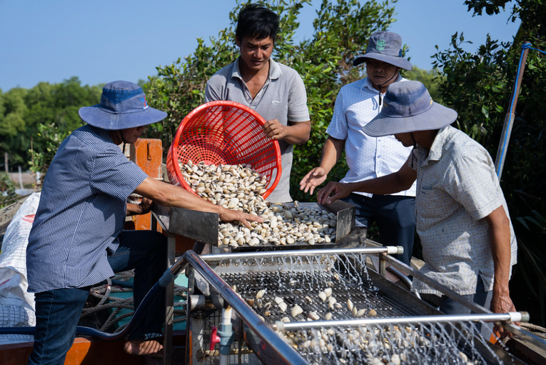 Sản xuất ngh&ecirc;u bền vững thuộc dự &aacute;n. Ảnh: Oxfam.