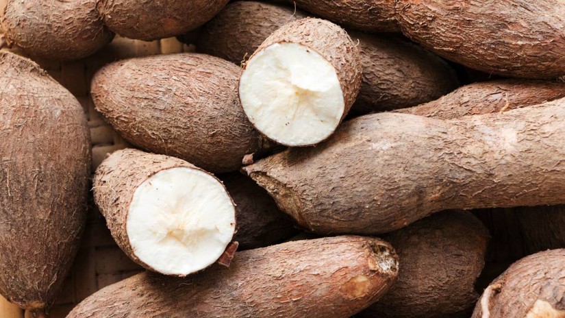 Nửa đầu th&aacute;ng 3, xuất khẩu sắn mang về hơn 50 triệu USD