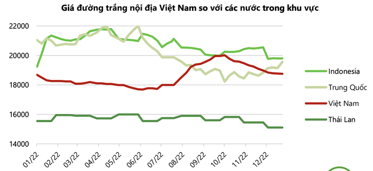 So kè triển vọng 3 doanh nghiệp đầu ngành mía đường năm 2023