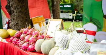 Đặt mục tiêu xuất khẩu lương thực thực phẩm trên 30 tỷ USD/năm