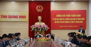 Ban Kinh tế TW: Quảng Ninh cần kết hợp phát triển kinh tế rừng và biển
