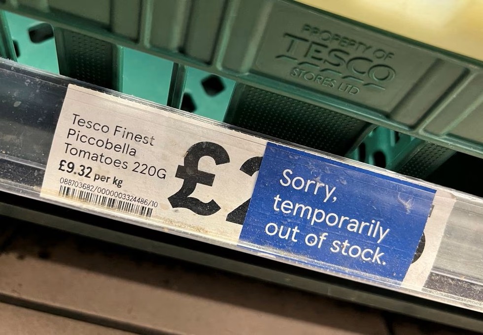 Kệ c&agrave; chua hết h&agrave;ng tại si&ecirc;u thị Tesco ở London, Anh. Ảnh: Reuters