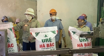 Đạm Hà Bắc hạ mục tiêu lợi nhuận năm 2023 tới 61%