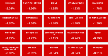Ồ ạt chốt lời cổ phiếu ngân hàng, VN-Index mất hơn 20 điểm