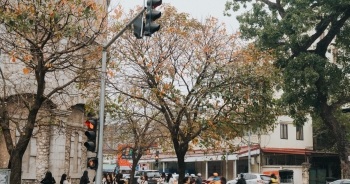 Góc lá đổ vàng như 'trời Âu' giữa lòng Hà Nội