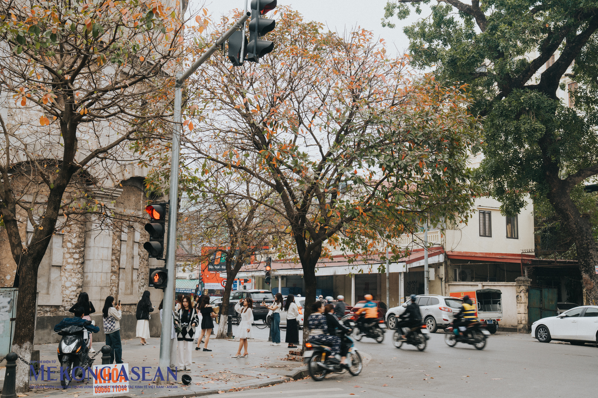 G&oacute;c l&aacute; đổ v&agrave;ng như 'trời &Acirc;u' giữa l&ograve;ng H&agrave; Nội