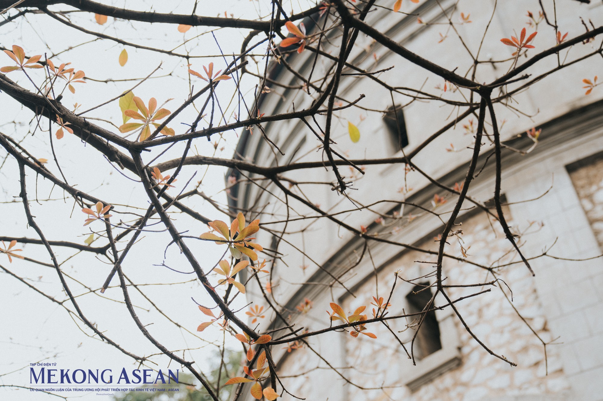 Người trẻ v&iacute; von nơi đ&acirc;y tr&ocirc;ng giống như một g&oacute;c nhỏ của &amp;amp;amp;quot;Paris l&atilde;ng mạn&amp;amp;amp;quot; m&ugrave;a c&acirc;y lộc vừng thay l&aacute;.