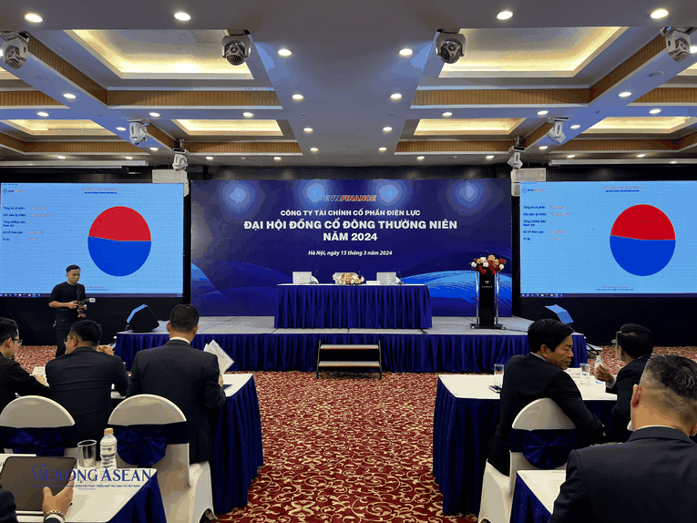 Đại hội c&oacute; sự tham dự của hơn 52% vốn điều lệ EVNFinance. Ảnh: Minh Phong