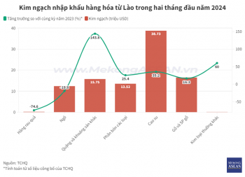 Việt Nam nhập khẩu mặt hàng nào từ Lào?