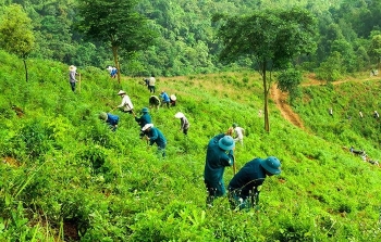 Việt Nam nhận 51,5 triệu USD từ quỹ của World Bank nhờ giảm phát thải carbon