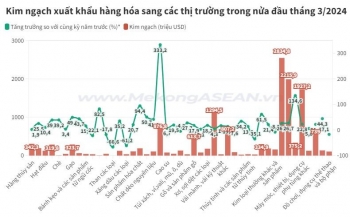 Việt Nam xuất siêu 1,1 tỷ USD hàng hóa trong nửa đầu tháng 3/2024