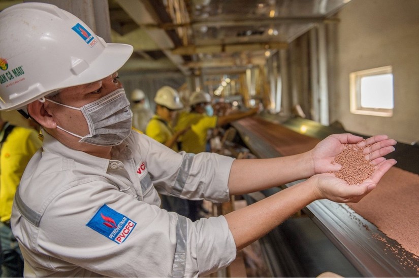 Ảnh: Đạm C&agrave; Mau