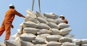 Thị trường xuất khẩu gạo lớn nhất của Việt Nam dự kiến giảm