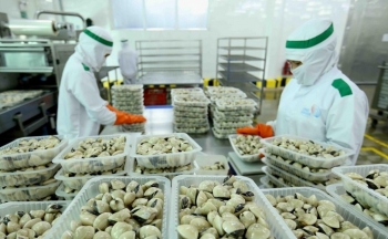 Hướng đến trang bị 'visa VIP' cho các sản phẩm nhuyễn thể xuất khẩu