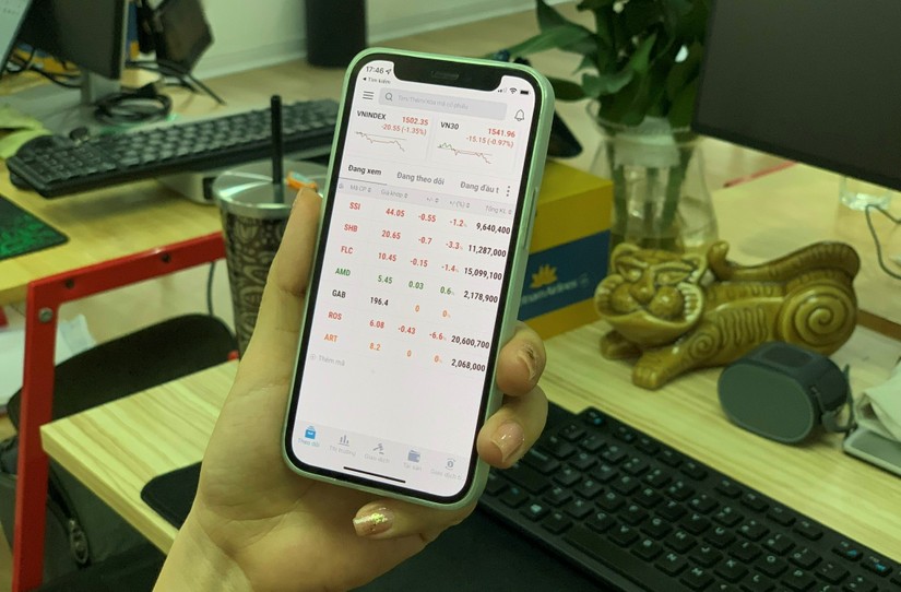 Nh&agrave; đầu tư c&aacute; nh&acirc;n vẫn l&agrave; động lực tăng trưởng ch&iacute;nh của thị trường.