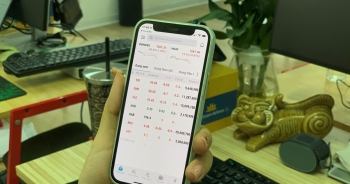 Việt Nam cán mốc 5% dân số tham gia đầu tư chứng khoán