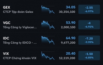 Top cổ phiếu rơi mạnh nhất tuần, 'họ Gelex' góp mặt cả loạt