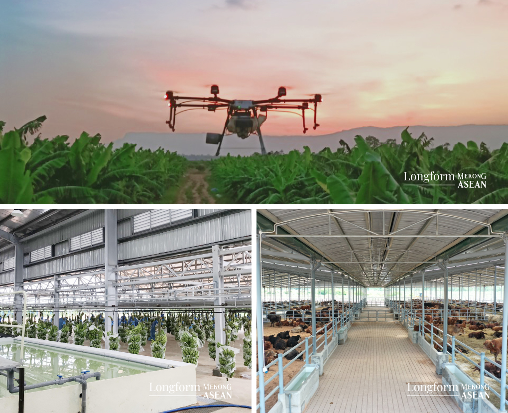 Thagrico l&agrave;m n&ocirc;ng nghiệp hiện đại tại Campuchia.