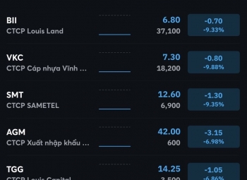 VN-Index ‘đổ máu’ ngay khi mở cửa, cổ phiếu họ Louis tiếp tục chất sàn