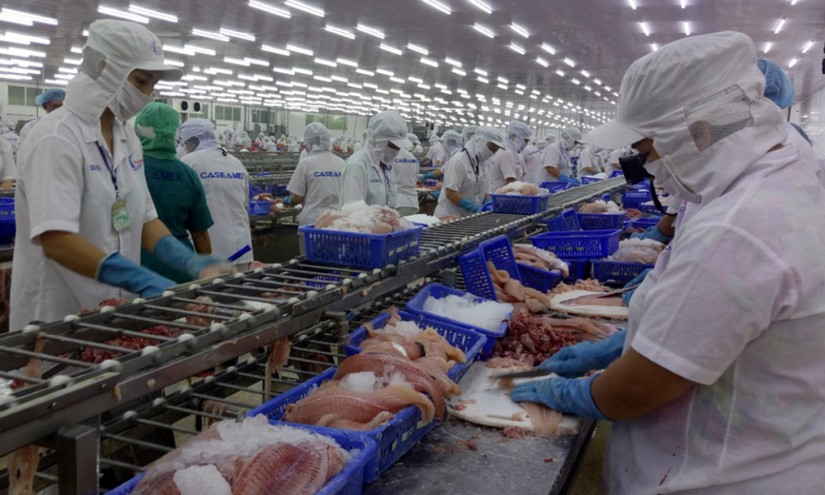 Vĩnh Ho&agrave;n muốn đưa c&aacute; tra l&ecirc;n b&agrave;n sushi