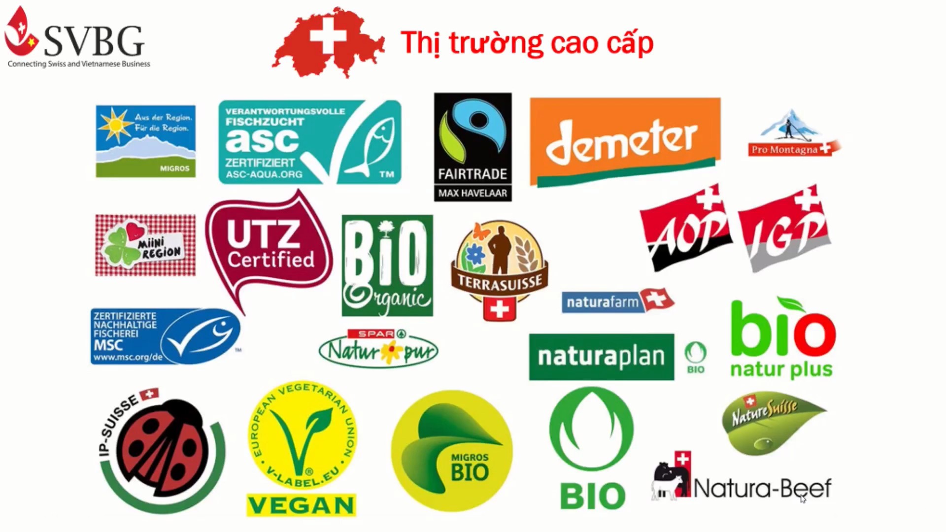 Một số ti&ecirc;u chuẩn doanh nghiệp phải đ&aacute;p ứng khi xuất khẩu h&agrave;ng h&oacute;a sang thị trường Thụy Sĩ. Ảnh: SVBG