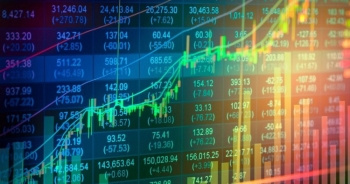 Phản ứng của thị trường chứng khoán đối với các lần hạ lãi suất điều hành